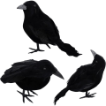 Pikkukuva 1 / 5: Pakkaus Halloween-korppeja Tekojouhikorppeja Realistisia Korppeja Koristeita Eläimen Koriste Pelottava Musta Jouhikorppi Lintu Halloween-juhliin