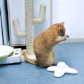 Miniatyrbild 5 av 5: CDQ Kattfjärilsleksak Elektrisk Interaktiv Katt Leksak, Automatisk Självspelande Retande Leksak för Kattungar