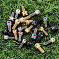 Pikkukuva 5 / 10: MTB V jarrusatulan ruuvit RAINBOW M6X10MM Rainbow M6X10MM