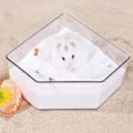 Miniatyrbillede 4 af 6: Sand Bad Box Sand Container Brusebad