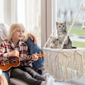 Miniatyrbillede 5 af 6: Cat Window Aborre Cat Hængekøje Kæledyr hvilesæde Seng