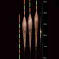 Pikkukuva 7 / 7: Fishing Float Light Float 49,5CMB B 49.5cmB