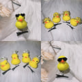 Miniatyrbilde 3 av 10: 10stk Hårnål Spring Hårklemme GUL GUL Yellow