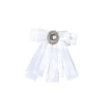 Miniatyrbild 1 av 10: Fluga Bowknot Broscher H H H