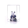 Miniatyrbild 5 av 9: Förvaringsbox Docka Display Box TRANSPARENT L transparent L