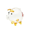 Pikkukuva 1 / 10: Piggy Bank Storage Bottl 3 3 3