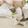 Miniatyrbilde 7 av 10: Pet Cat Teaser Toys Simulation Bird B B B