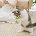 Miniatyrbillede 7 af 10: Pet Cat Teaser Legetøj Simulation Bird B B B
