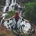 Pikkukuva 5 / 10: Butterfly Wings Cape Fairy Wings -viitta F F F