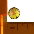 Miniatyrbilde 4 av 10: 20 stk trykt glass cabochons virvelglass cabochons 20MMCOLOR 20mmColor random