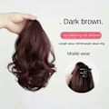 Miniatyrbilde 1 av 10: Hestehaleklips Hårklemme MØRKEBRUN Dark Brown