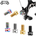 Pikkukuva 6 / 10: MTB V jarrusatulan ruuvit RAINBOW M6X10MM Rainbow M6X10MM