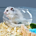 Miniatyrbillede 7 af 10: Hamstertoiletbur Hamsterbadeværelse MA A MA