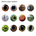 Miniatyrbilde 1 av 10: 20 stk/10 par Eyes Crafts Eyes Puppet Crystal Eyes 20MM-FARGE 20mm-color random