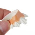 Miniatyrbillede 8 af 10: 12 stk. Tooth Toy Rotten Teeth Party Tasker