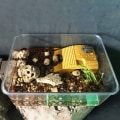 Miniatyrbilde 3 av 10: Turtle Basking Bord Turtle Klatreplattform MØRKEGRØNN Dark green