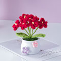 Miniatyrbild 1 av 7: Virkad stickad blomkruka Tulpanväxter i krukväxt 7 7 7