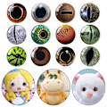 Miniatyrbillede 6 af 10: 20 stk/10 par Eyes Crafts Eyes Puppet Crystal Eyes 16MM-FARVE 16mm-color random
