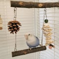 Miniatyrbild 4 av 5: Parrot Swing Toy Bird Chew Toy Tuggbar