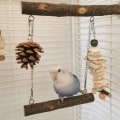 Miniatyrbilde 4 av 5: Parrot Swing Toy Bird Chew Toy Chewable