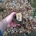 Miniatyrbild 3 av 10: Key Organizer Key Case Stone Shape Key Box