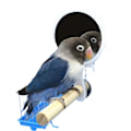 Pikkukuva 5 / 5: Papukaijajalusta Stick Bird Stand Ahven lintu seisoo sauva