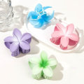 Miniatyrbilde 5 av 8: Frangipani Hårklemmer Blomst Hårklemme ROSA GRADIENT FARGE pink gradient color-gradient color