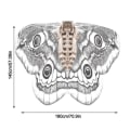 Pikkukuva 2 / 10: Butterfly Wings Cape Fairy Wings -viitta C C C