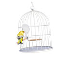Pikkukuva 4 / 5: Papukaijajalusta Stick Bird Stand Ahven lintu seisoo sauva