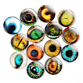 Miniatyrbillede 10 af 10: 20 stk/10 par Eyes Crafts Eyes Puppet Crystal Eyes 18MMCOLOR 18mmcolor random