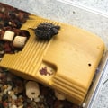 Pikkukuva 7 / 10: Turtle Basking Table Turtle Kiipeilytaso KAHVI Coffee