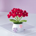Miniatyrbillede 6 af 7: Hæklet strikket urtepotte Tulipanplanter i potte 4 4 4