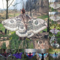 Pikkukuva 8 / 10: Butterfly Wings Cape Fairy Wings -viitta J J J