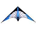 Miniatyrbild 1 av 9: Stunt Kite 1,2m Kite C C C