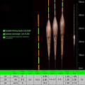 Pikkukuva 2 / 7: Fishing Float Light Float 49,5CMB B 49.5cmB