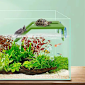Miniatyrbillede 5 af 6: Turtle Basking Platform Skildpadde hvilende Basking Platform Skildpadder