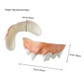 Miniatyrbillede 2 af 10: 12 stk. Tooth Toy Rotten Teeth Party Tasker