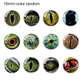 Miniatyrbild 1 av 9: 20st/10 par Eyes Crafts Eyes Puppet Crystal Eyes 16MM-FÄRG 16mm-color random
