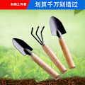 Miniatyrbilde 5 av 5: Pcs Mini Hageverktøy, Lite Rive- og Spadesett, Liten Spade Rive og Spade Tretthåndtak for Potteplanter for Hageplanter Innendørs Utendørs