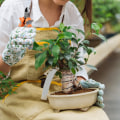 Miniatyrbillede 3 af 5: 3-pak Bonsai-tråd Anodiseret aluminium Håndværk DIY-tråde Bånd til håndværk Fremstilling, Størrelse 1,0 mm/1,5 mm/2,0 mm（Brun, sort）-Sort