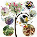 Miniatyrbild 5 av 5: 2 i 1 Ympningsverktyg för trädgårdsträd Ympning och beskärningsverktyg med 3 utbytbara blad