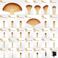Miniatyrbild 5 av 5: Sminkborstar, VANDER Professionellt 32-delars sminkborstset, sminkborstar set foundation blending kosmetisk borste set kit, champagne