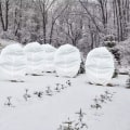 Miniatyrbild 5 av 5: Icke-vävd växt frostskyddande överdrag vinter växt kylskyddande skyddande överdrag vind-vit 60g*0.8m*1m i zippad version