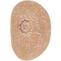 Miniatyrbilde 2 av 5: Hundegravmarkør, robust og utsøkt harpiks kjæledyr minnestein for bakgårdskomfort (liten blomsterstein gul sand)