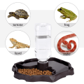 Miniatyrbilde 3 av 5: Reptilvannflaske, automatisk fôringsdrikker for skilpadder, mat- og vannskål, kjæledispenserflaske, fôringsbrett