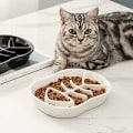 Miniatyrbillede 3 af 5: Anti-gulpe hundeskål, fiskebensform, keramik, langsomt foderskål til katte, fremmer sund spisning og langsom fordøjelse for små og store hunde