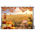 Miniatyrbilde 1 av 5: 7X5FT Høst Bakgrunn Høst Thanksgiving Foto Bakgrunn HøstBakgrunn Høst Gresskar Høst Thanksgiving Høy Bakgrunn BabyShower Bursdagsfest Dekor