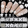 Miniatyrbild 2 av 5: 3D Blomster Nagelkonst Charm, 250 st Vit Blommor Nagel Strass Kit 3D Kristall Nagel Pärlor Platt Design Akryl Nagelkonst Dubbar Manikyr Nagel Tillbehör