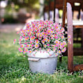 Miniatyrbilde 2 av 5: 6 stk. Kunstige Tusenfrydblomster Utendørs Falskt Løvverk Grønt Fuskplanter For Vindus Hjem Bryllup Kontor Dekor A Pink
