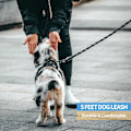 Miniatyrbilde 5 av 5: Hundehalsbånd med komfortabelt polstret håndtak og svært reflekterende tråder for små, mellomstore og store hunder (5FT-1/3'', svart)